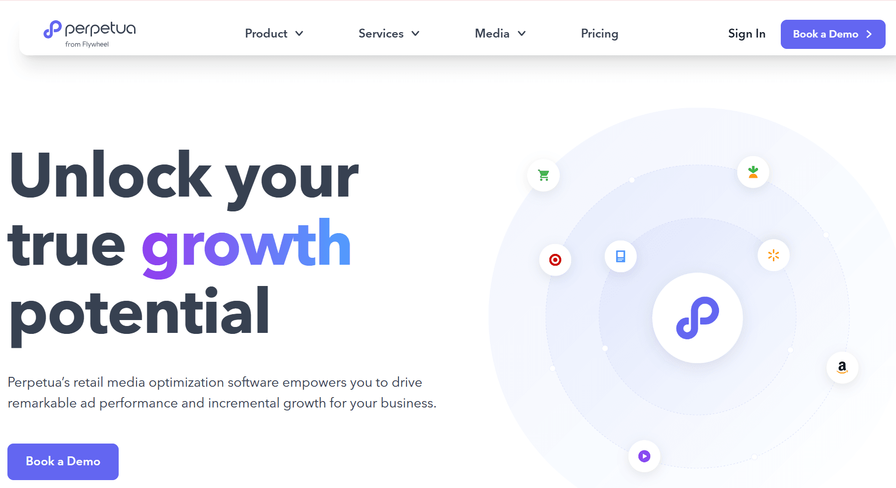 Perpetua retail media optimization homepage