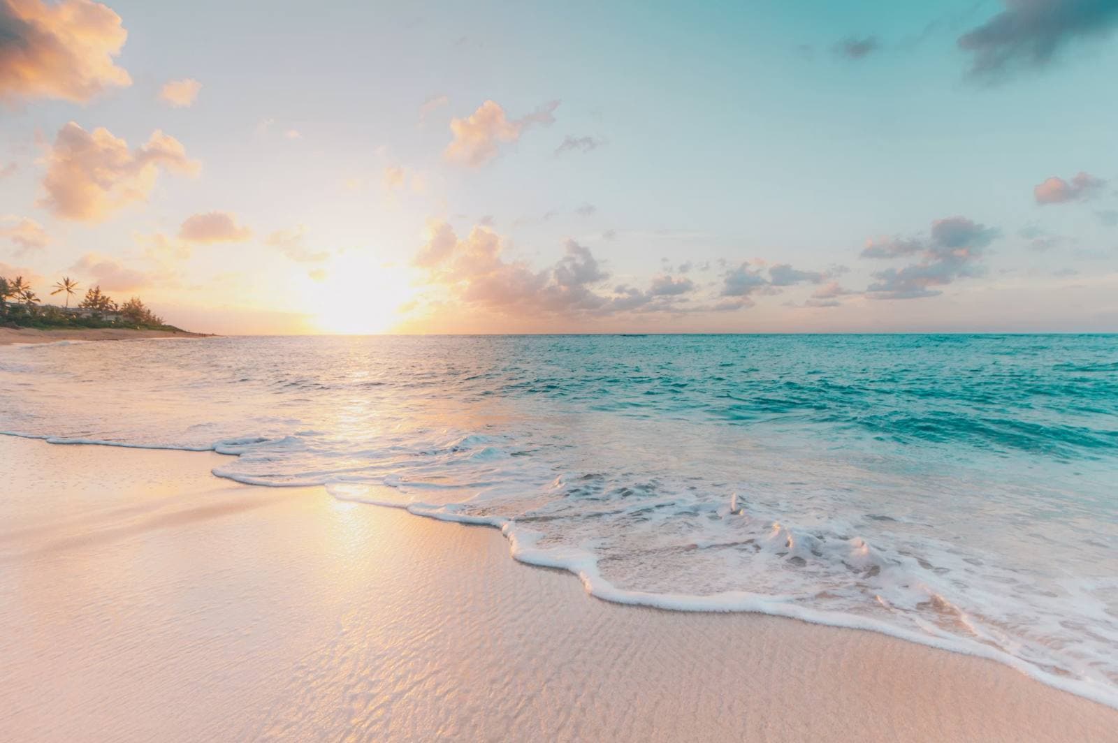 Travel and Hospitality Software Development Services